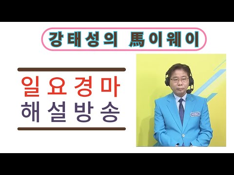 강태성의 11/23 일요 경마