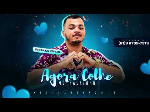 MC FALKINHO - AGORA COLHE 2019  ( 2M NO BEAT)