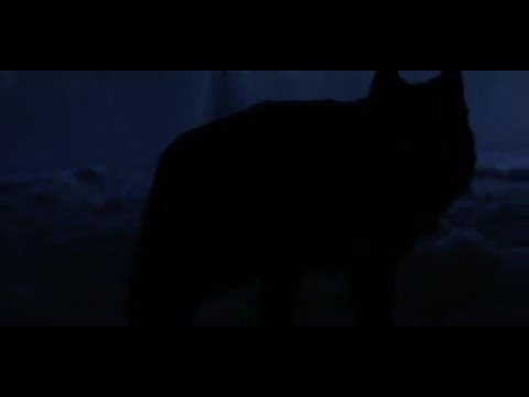 Трейлер