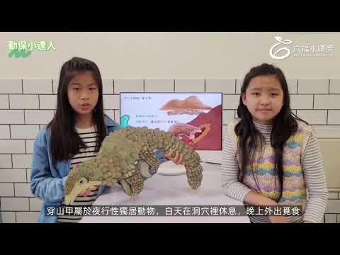 國小高年級中文組 潛力獎 -2025六福永續獎: 最佳人氣影片