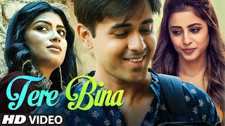 Tere Bina song artwork
