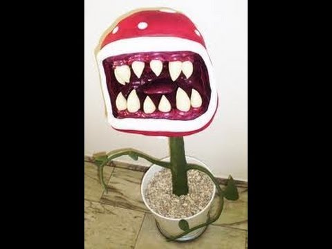 Plants - Predators -no photosynthesis - Life Science for Kids