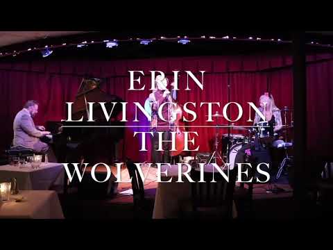 Promotional video thumbnail 4 for Erin Livingston