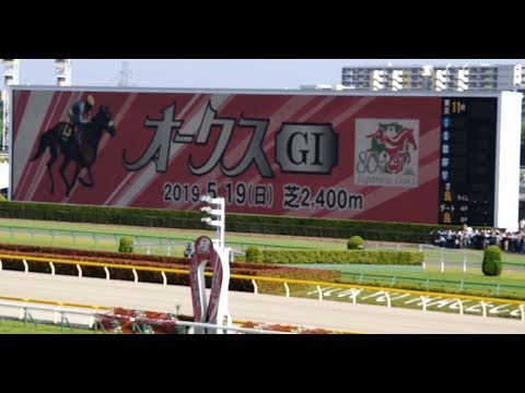 2019 【現地撮影】第80回オークス(優駿牝馬)（東京競馬場、GI：芝：2,400m）結果 2019/0519
