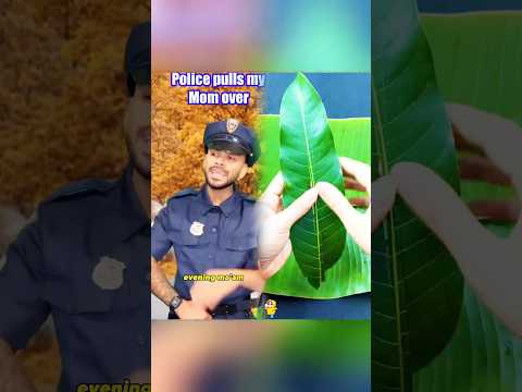 Police pulls over my Mom…😂💀 #comedy #viral