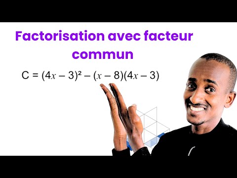 Factorisation