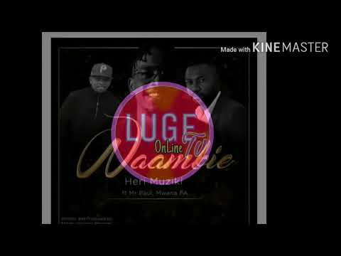 HERI MUZIKI FT FA & MR. PAUL - WAAMBIE