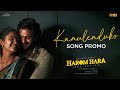 Kanulenduko | Song Promo | Harom Hara | Sudheer Babu | Malvika | Gnanasagar | Chaitan Bharadwaj