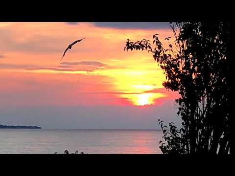 Rosvaye Zamaneh - رسوای زمانه - به یاد بانو الهه - خواننده مرتضی هاشمیان - خاطره انگیزان