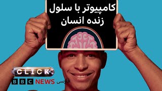 کامپیوتر با سلول‌های زنده انسانی و جنجال درباره بارورسازی ابرها و سیل در تگزاس