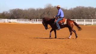 Changing Leads - Fred Thomsson