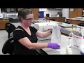 Quantifying Total Coliform And E Coli Concentrations Using The IDEXX Quanti Tray 2000 Method