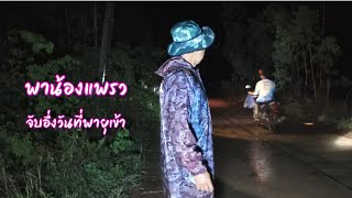 พาน้องเเพรวหาจับอึ่ง หลังพายุฤดูร้อนเมื่อคืนนี้ คนเยอะมากนึกว่ามาตลาดนัด  / ตุ้มแพรว พาเพลิน EP.790