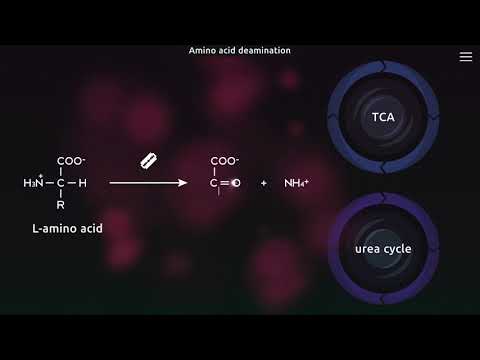 BiochemCity Official Promo Video 2021