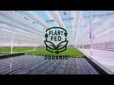 Using Greenhouse technology to save precious resources