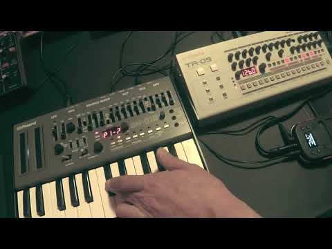 #jamuary2019 d22 SH-01A TR-09 Wrong Way Techno