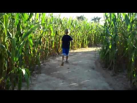 Marvin's Maze PSP