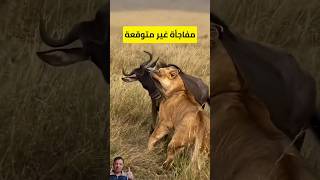 فياللحظة الأخيرة: مفاجأة قلبت الموازين #shorts