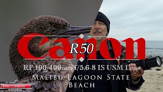 Canon R50 and 100-400 at Malibu Lagoon