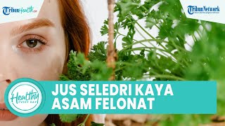 Lakukan ini agar Kolesterol Turun! Konsumsi Jus Seledri yang Kaya Vitamin hingga Asam Felonat