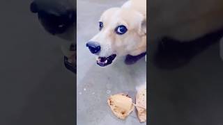 बस यही देखना बाकी था 😂