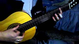 Mis condiciones pajareras