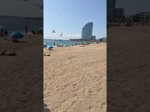 Barceloneta Beach🇪🇸🌞🌊🌸#barcelona #beach #barcelonetabeach #eurosummer #spain #summer #trending