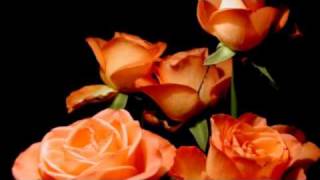 Love Is Colder Than Death- Till The End