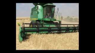 preview picture of video '01-Kansas Wheat Harvest, 2012.mp4'