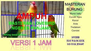 Download lagu lovebird isian cucak jenggot dan walang kecek #burunggacor #masteranburung mp3 Download lagu lovebird isian cucak jenggot dan walang kecek #burunggacor #masteranburung mp3