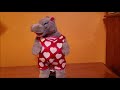 Gemmy Hula Hippo