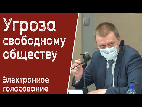 Электронное голосование по поправкам в Конституцию. Угроза свободному обществу