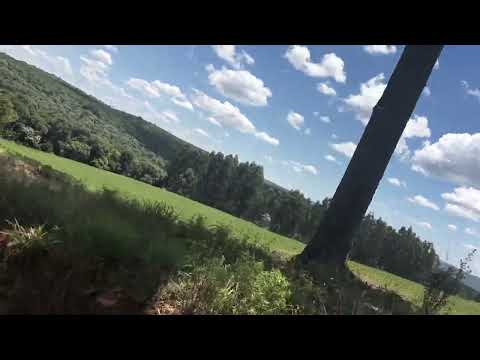 Plantação  de soja banhado vermelho turvo pr