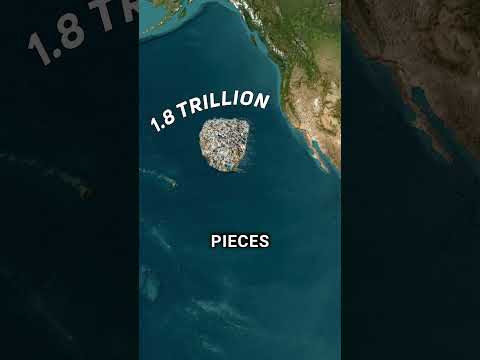 The Great Pacific Garbage Patch: A Map of Plastic Pollution