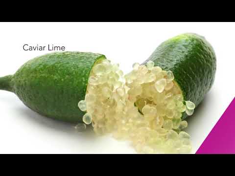 lancer caviar lime acid peel