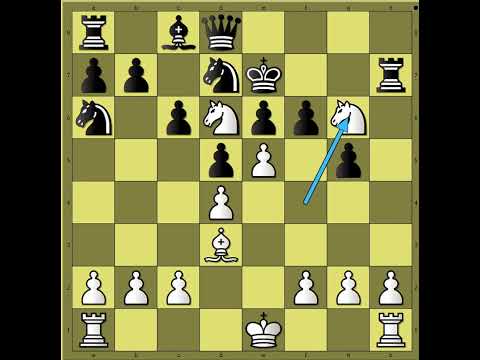 Fantastični mat , neverovatni udar ‼️  SPEIJER vs COUVEE #3462