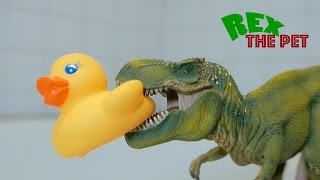 T-Rex vs Rubber Duck! Pet dinosaur Rex fights rubber duckie. A dinosaur toy fight.