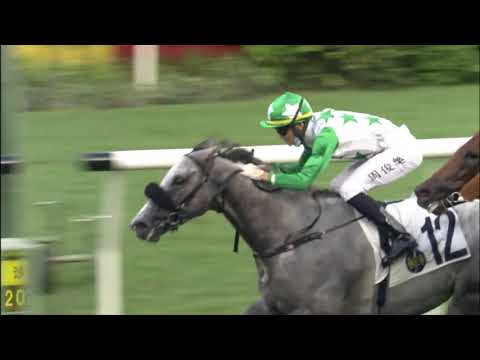 4/7/2021 (805) Mister Snowdon - Jerry Chau