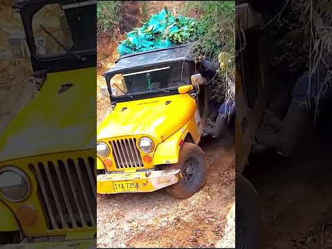 ¿Hasta dónde llegarías para que un producto llegue sano a la mesa? 🚙⛰️