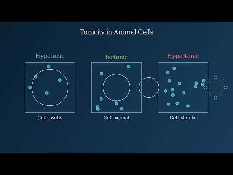 Tonicity –  Definition, Types, Examples - Video