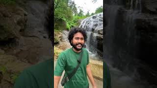 Download lagu රුක්මල් ඇල්ලට වෙලා තියෙන දේ | ගල් ඉද්ද (Clusia rosea Jacq.) ගැලවිලා mp3