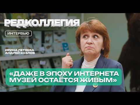«Взрослым тоже интересно смотреть в микроскоп». Чем живет единственный музей природы ДФО в Агинском?