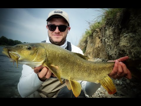 Aspi e Barbi a Spinning in Ticino