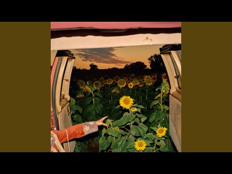 Little Wide Open - Kevin Morby