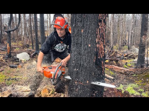 WE MADE IT! Nova Scotia, cuttin’ a burnt forest down