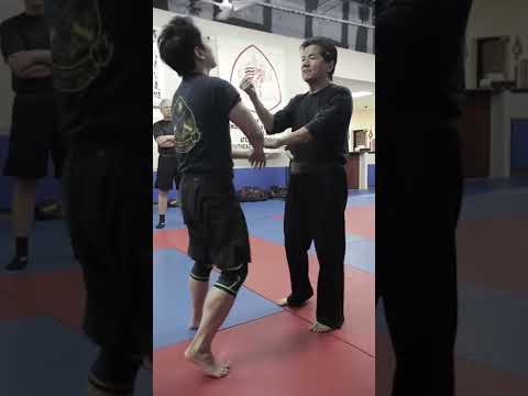 Wing Chun Chi Sao | Sifu Francis Fong