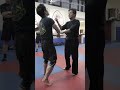 Wing Chun Chi Sao Sifu Francis Fong