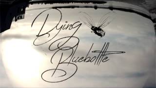 I For An Eye (Covette Cover) - Dying Bluebottle