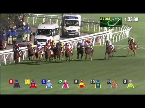 3/3/2021 (473) Dynamic Eagle - A Badel