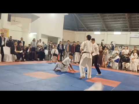 kyokushin karate fight ( short clips)